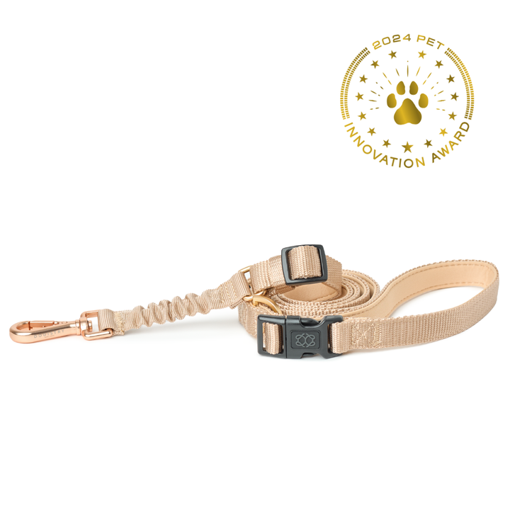 3-in-1 City Dog Leash - Dune