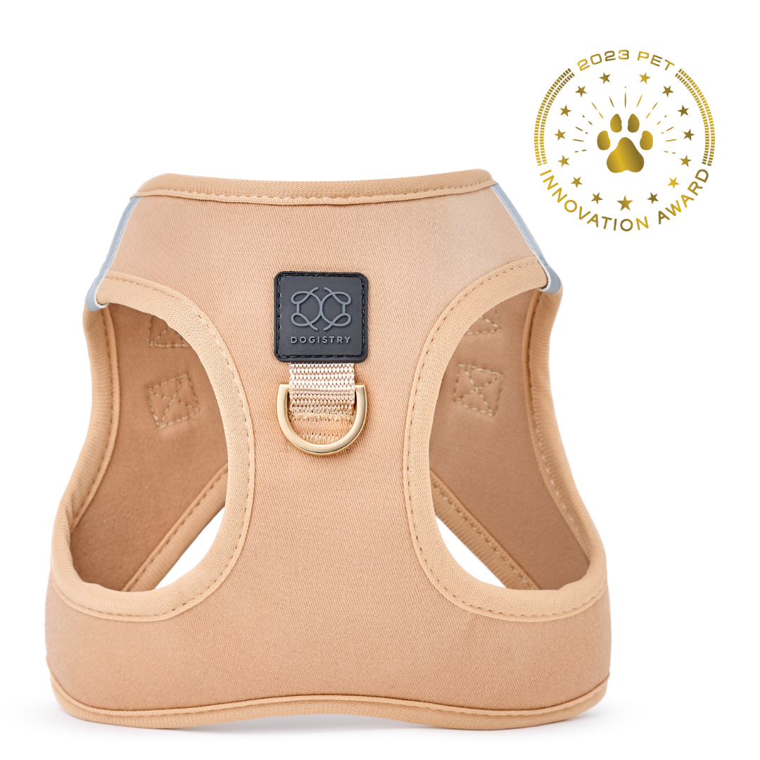 designer dog leashes and collars, designer dog collar and leash, pet accessories designer, fancy harness for dogs, luxury dog harness, fancy dog stuff, pet accessories designer, stylish dog leash