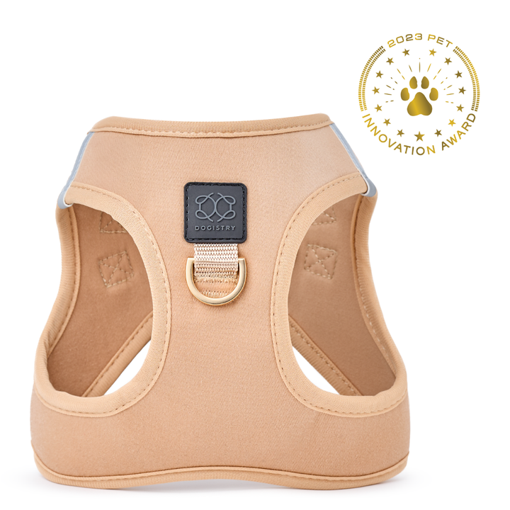 designer dog leashes and collars, designer dog collar and leash, pet accessories designer, fancy harness for dogs, luxury dog harness, fancy dog stuff, pet accessories designer, stylish dog leash