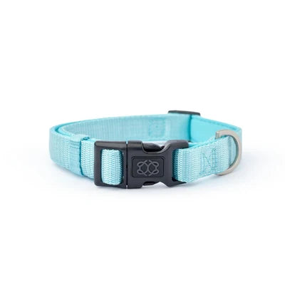 SoHo Complete Dog Walking Set - Fifth Avenue