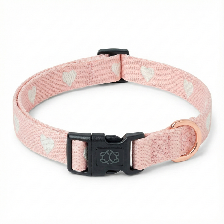 designer dog leashes and collars, designer dog collar and leash, pet accessories designer, fancy harness for dogs, luxury dog harness, fancy dog stuff, pet accessories designer, stylish dog leash