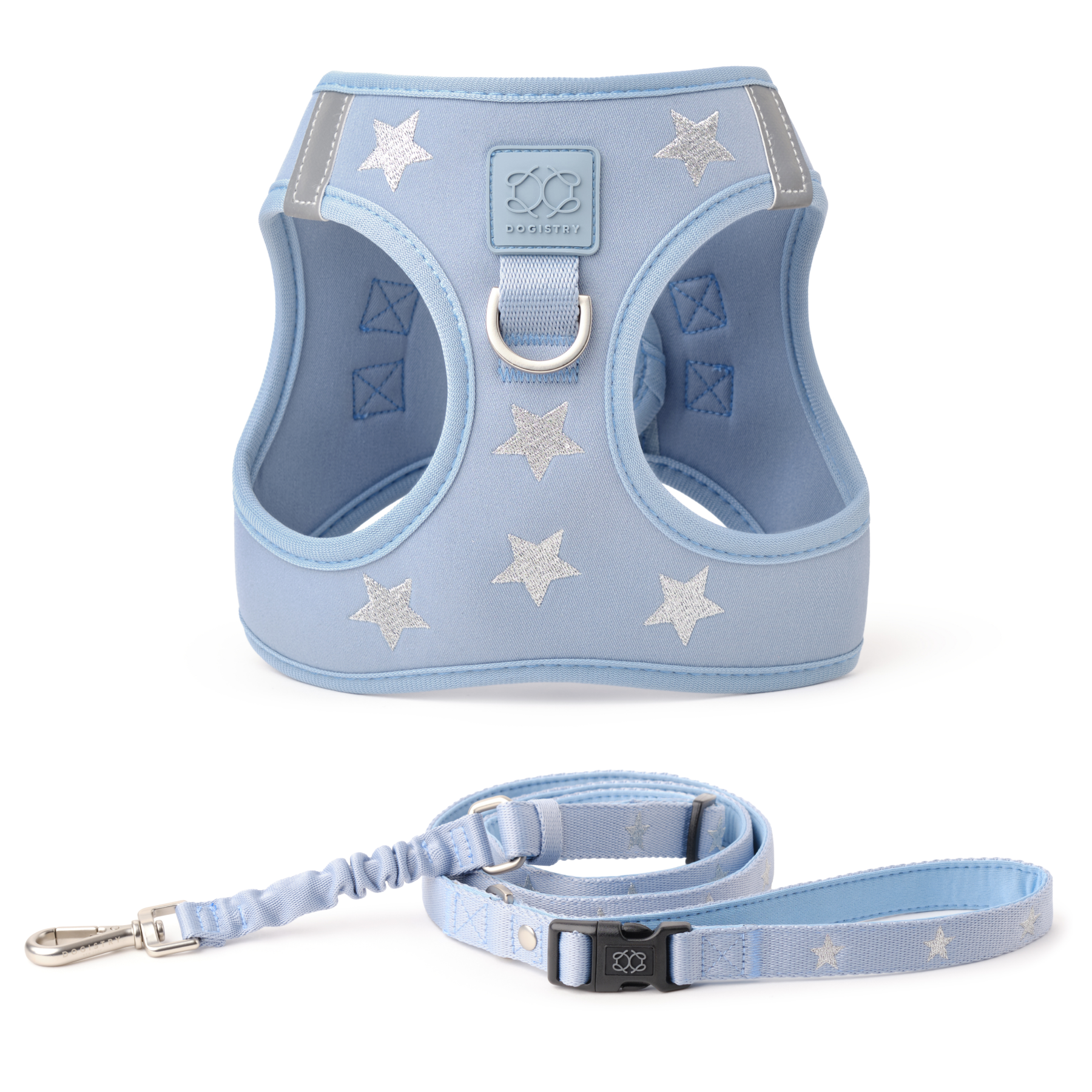 City Leash Set - Rockstar Hudson