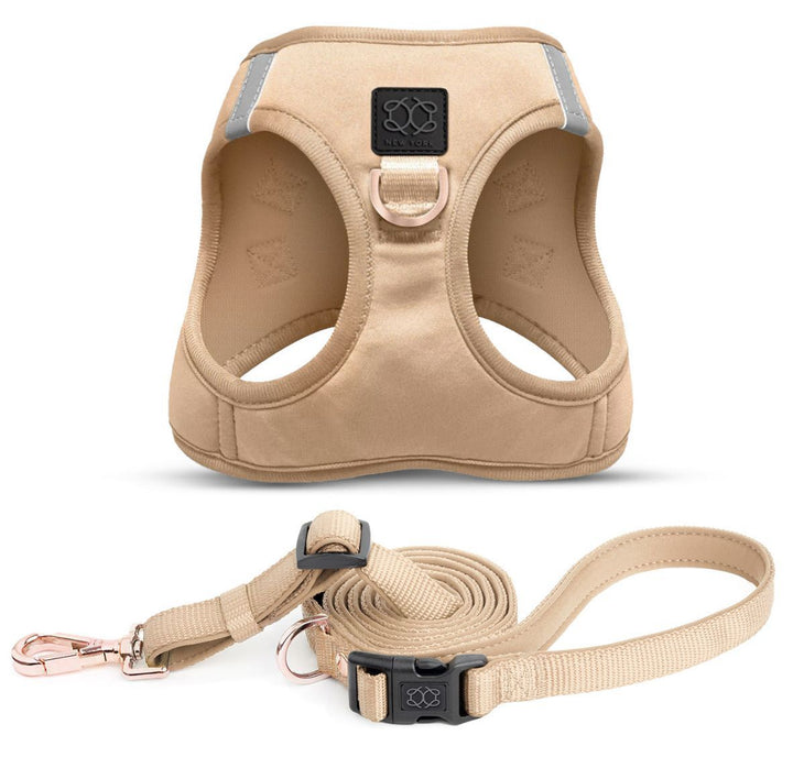City Leash Set - Dune