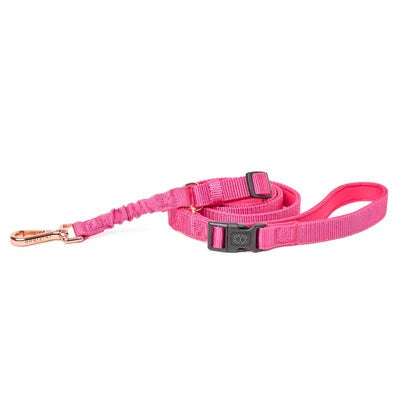 SoHo Complete Dog Walking Set - Park Ave Pink