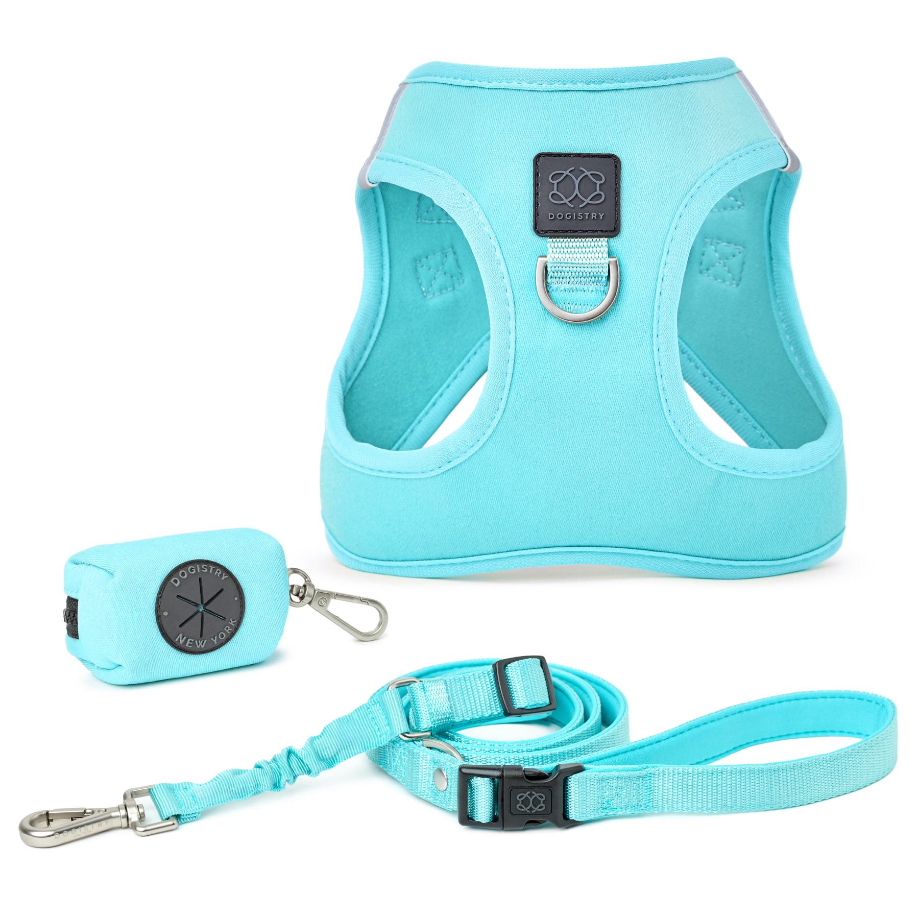 SoHo Dog Walking Set - Fifth Avenue