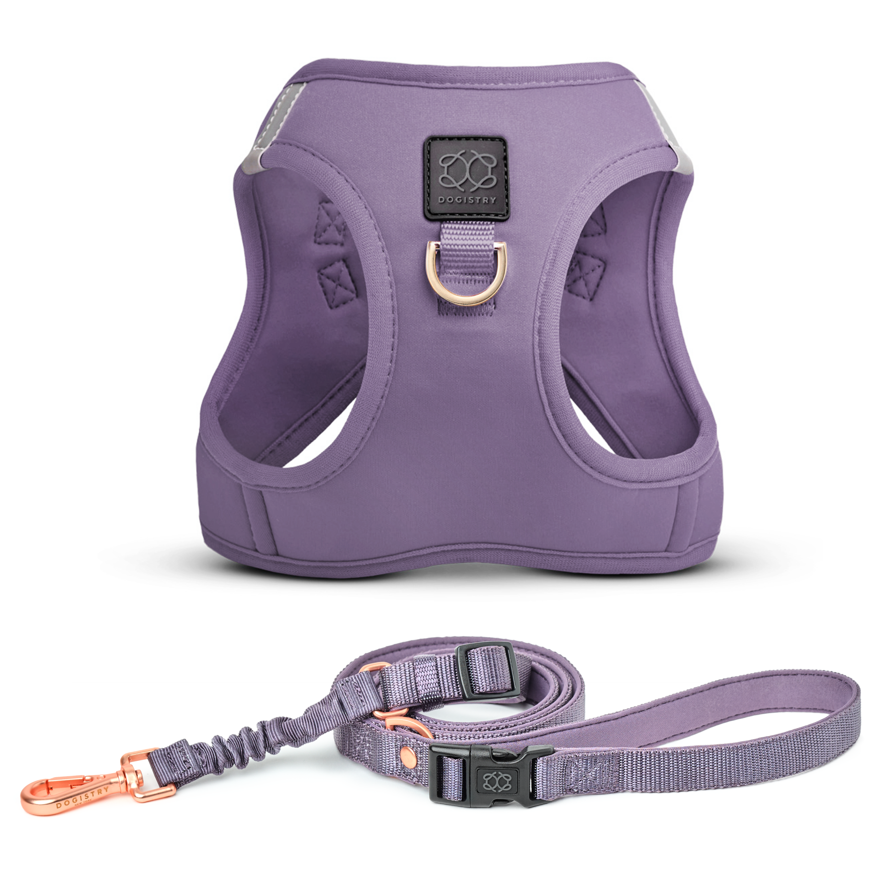 designer dog leashes and collars, designer dog collar and leash, pet accessories designer, fancy harness for dogs, luxury dog harness, fancy dog stuff, pet accessories designer, stylish dog leash