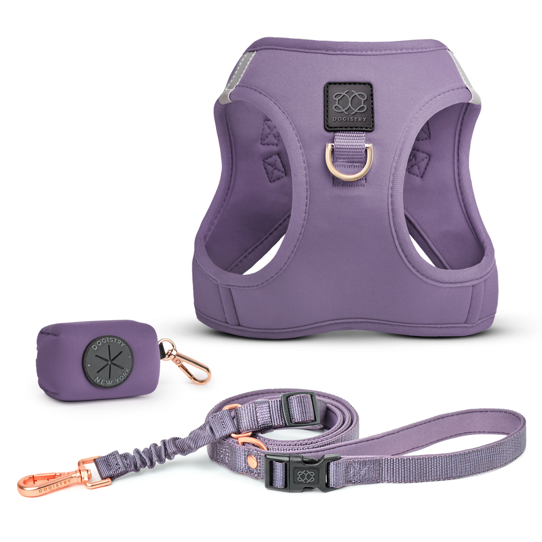 designer dog leashes and collars, designer dog collar and leash, pet accessories designer, fancy harness for dogs, luxury dog harness, fancy dog stuff, pet accessories designer, stylish dog leash