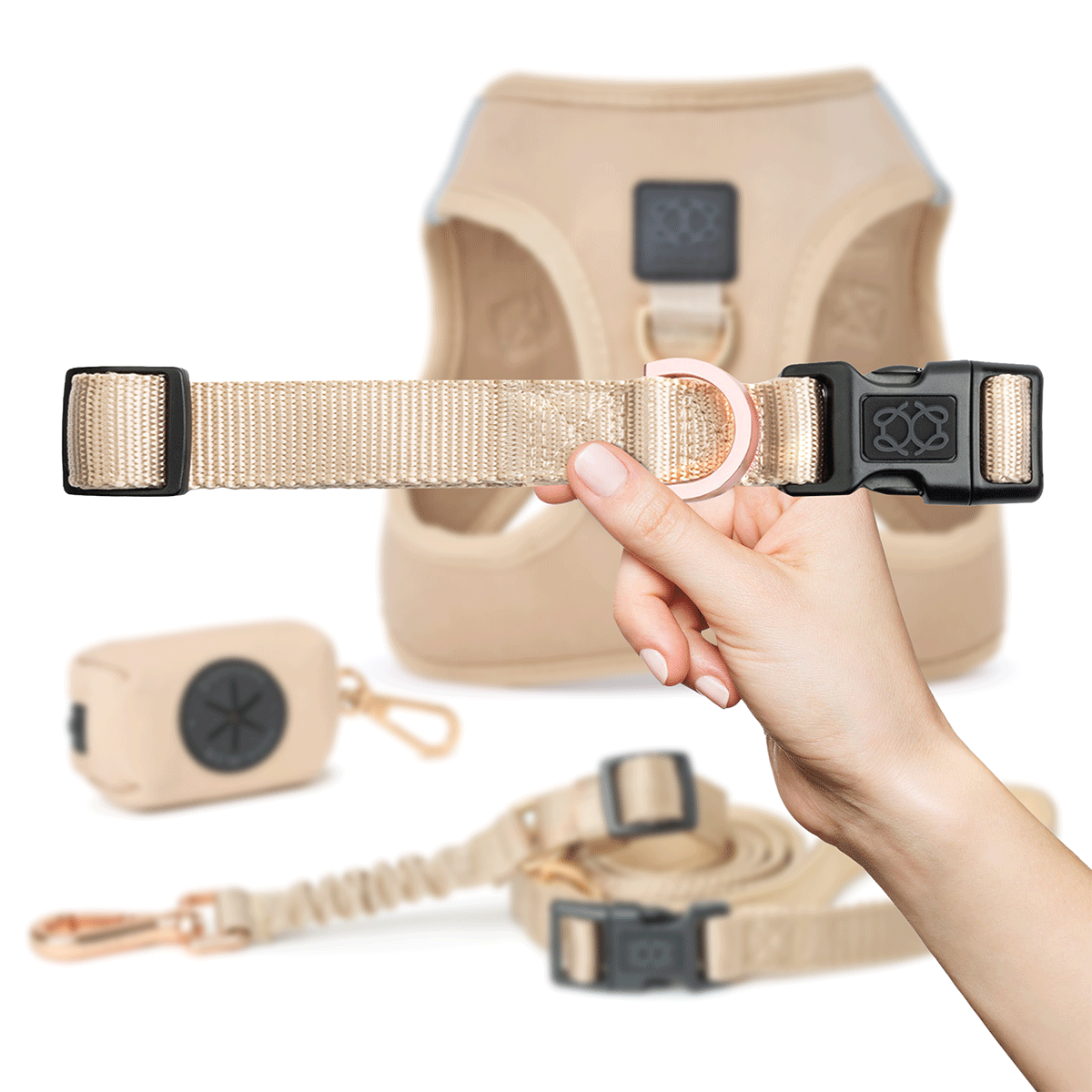 designer dog leashes and collars, designer dog collar and leash, pet accessories designer, fancy harness for dogs, luxury dog harness, fancy dog stuff, pet accessories designer, stylish dog leash