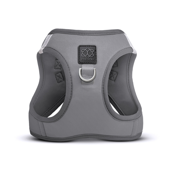 designer dog leashes and collars, designer dog collar and leash, pet accessories designer, fancy harness for dogs, luxury dog harness, fancy dog stuff, pet accessories designer, stylish dog leash