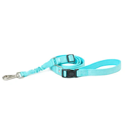 SoHo Complete Dog Walking Set - Fifth Avenue