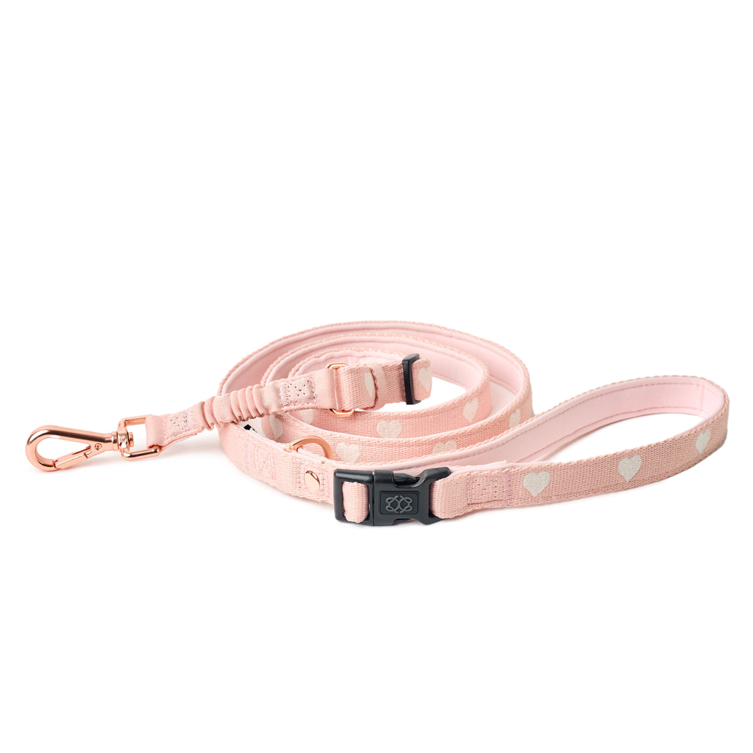 designer dog leashes and collars, designer dog collar and leash, pet accessories designer, fancy harness for dogs, luxury dog harness, fancy dog stuff, pet accessories designer, stylish dog leash