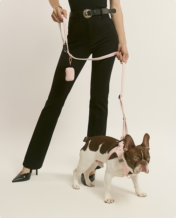 Modern woman holding a pink luxury dog leash and waste bag holder set while walking a French Bulldog in a matching harness.