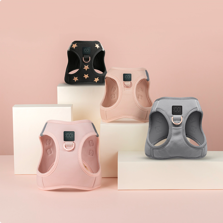 Product showcase of Dogistry harnesses in black with gold stars, soft pink, peach, and grey, displayed on minimalist white pedestals.