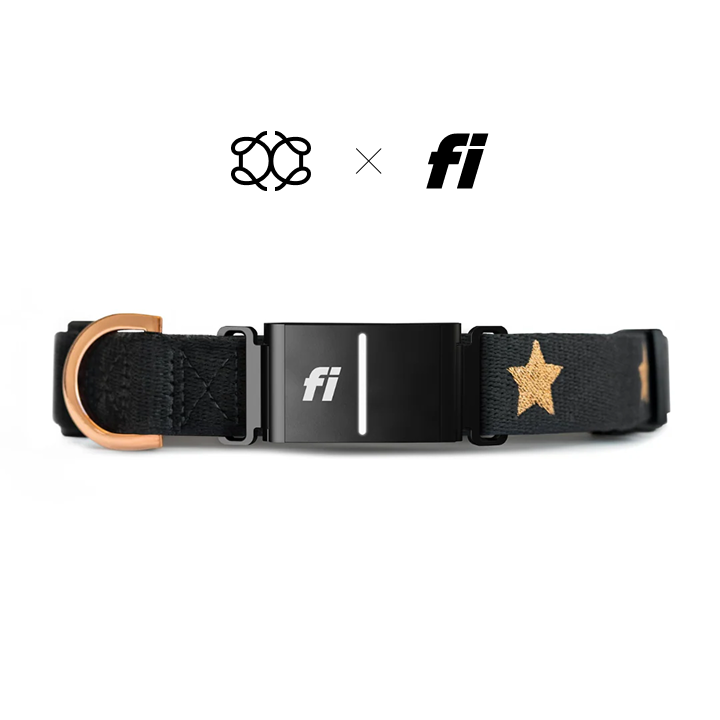 Premium black dog collar with gold embroidered stars and rose gold metal hardware, featuring the Fi smart tracker and Dogistry brand logos.