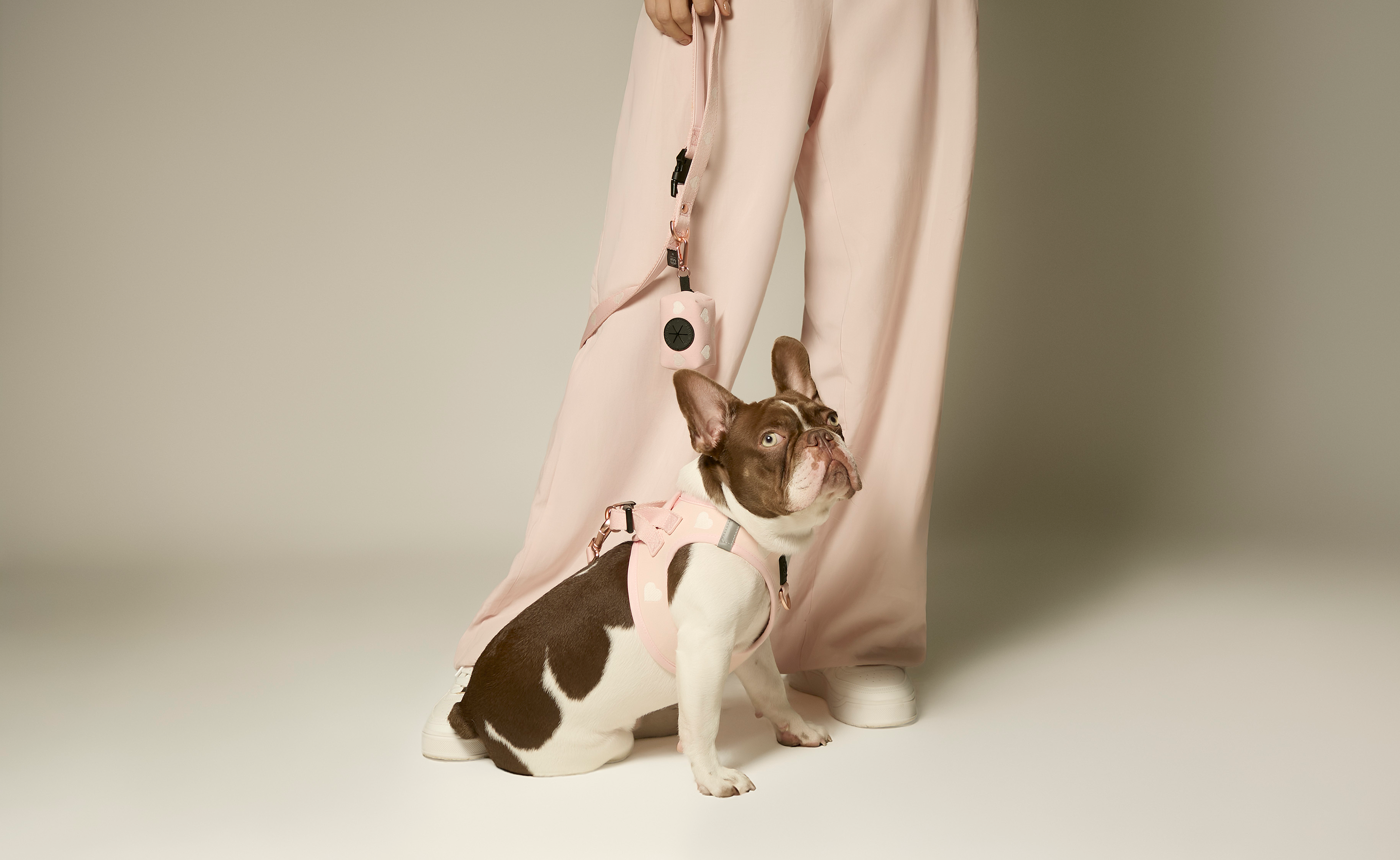 Close-up of a French Bulldog in a premium pink heart harness and matching waste bag dispenser, styled with a woman in pink trousers.