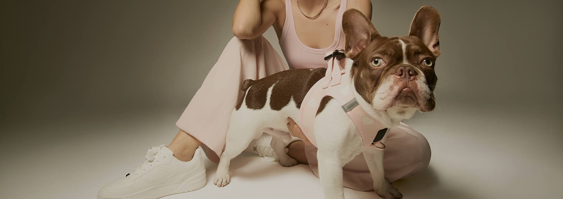 French Bulldog wearing a pink heart-patterned luxury harness with rose gold hardware in an editorial studio setting.