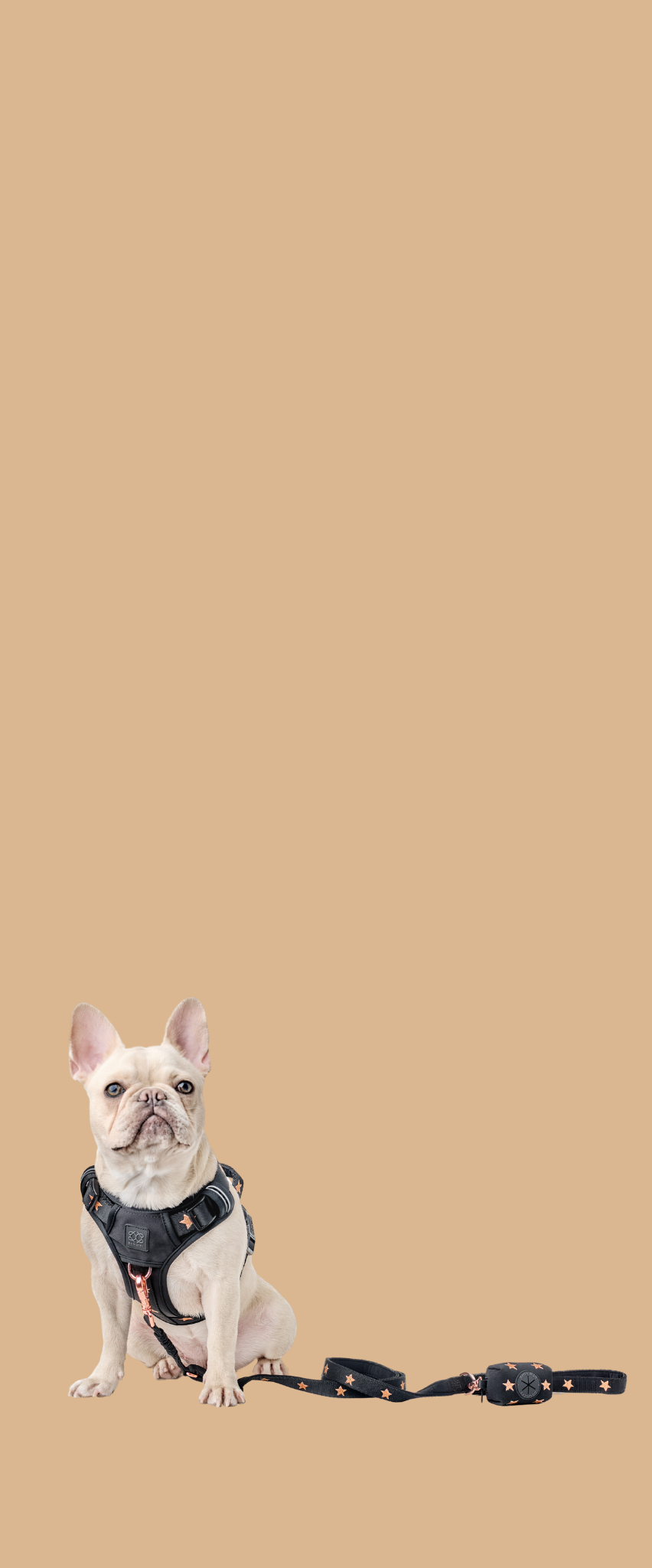 files/Mobile_Banner_1.png