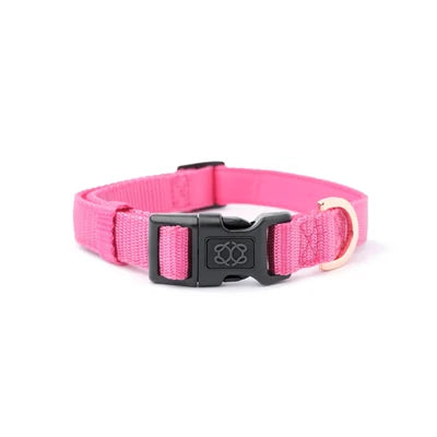 SoHo Complete Dog Walking Set - Park Ave Pink