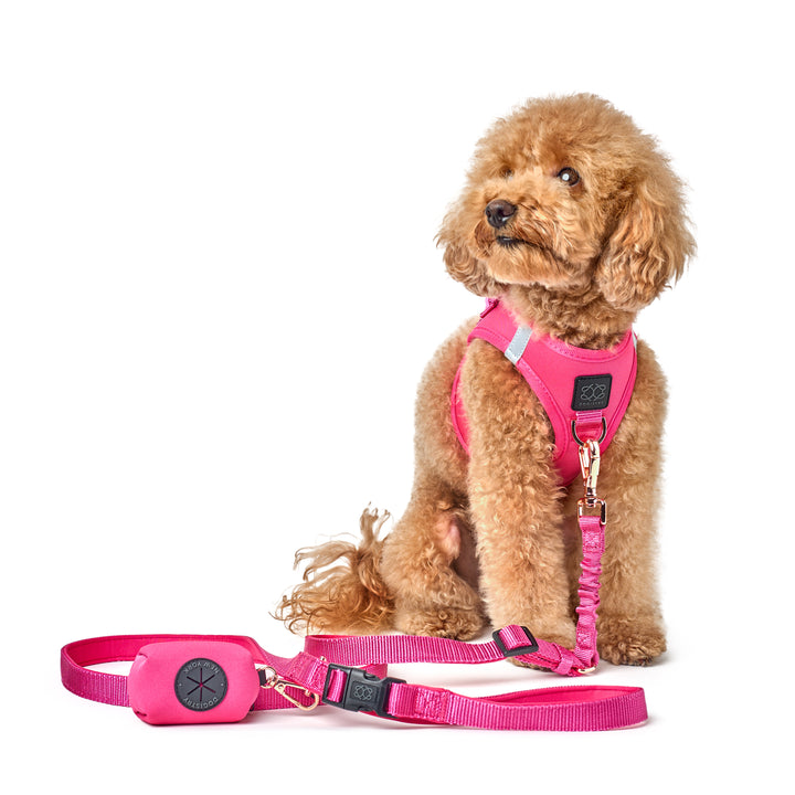 Poop Bag Holder - Park Ave Pink - Dogistry™