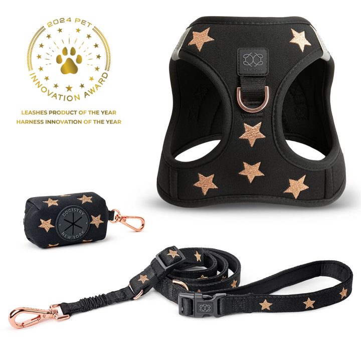 designer dog leashes and collars, designer dog collar and leash, pet accessories designer, fancy harness for dogs, luxury dog harness, fancy dog stuff, pet accessories designer, stylish dog leash