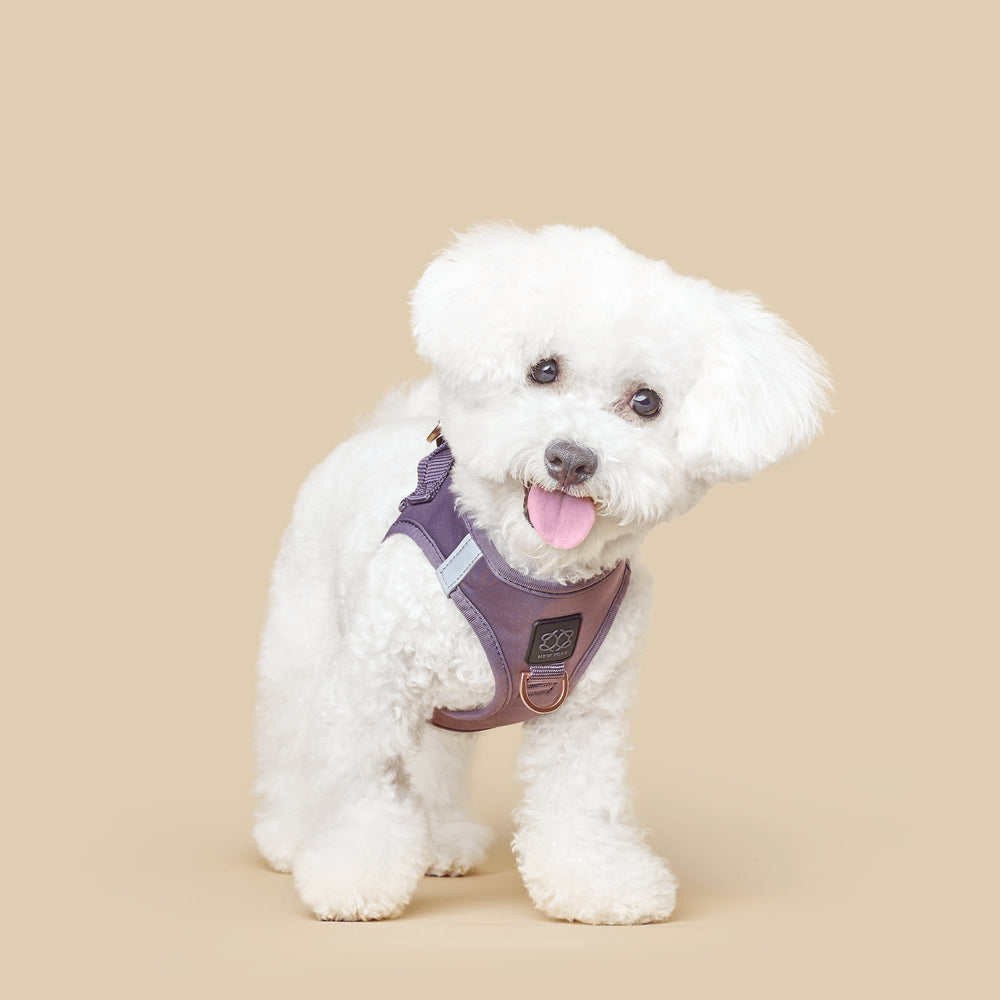 Dogistry™