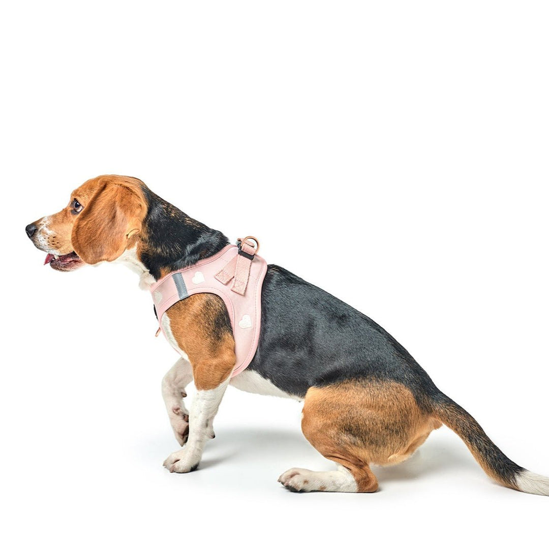 SoHo Dog Harness Sweetheart