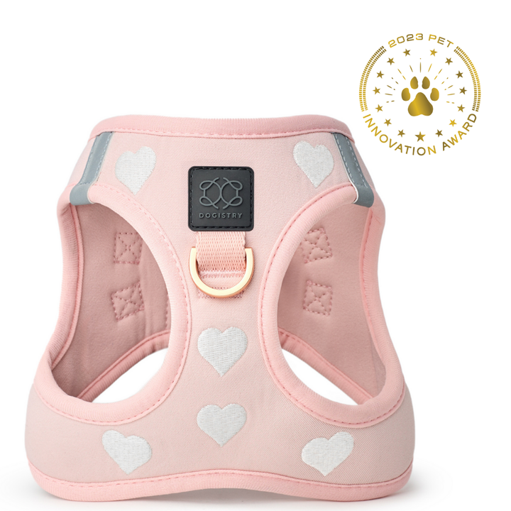 designer dog leashes and collars, designer dog collar and leash, pet accessories designer, fancy harness for dogs, luxury dog harness, fancy dog stuff, pet accessories designer, stylish dog leash