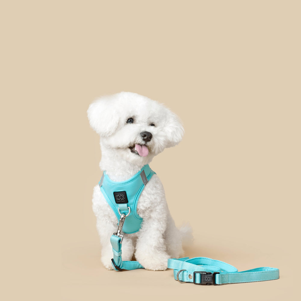 Dogistry™