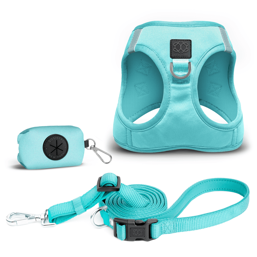 Dog Harness Hunter SOHO MINI Blue XS/S