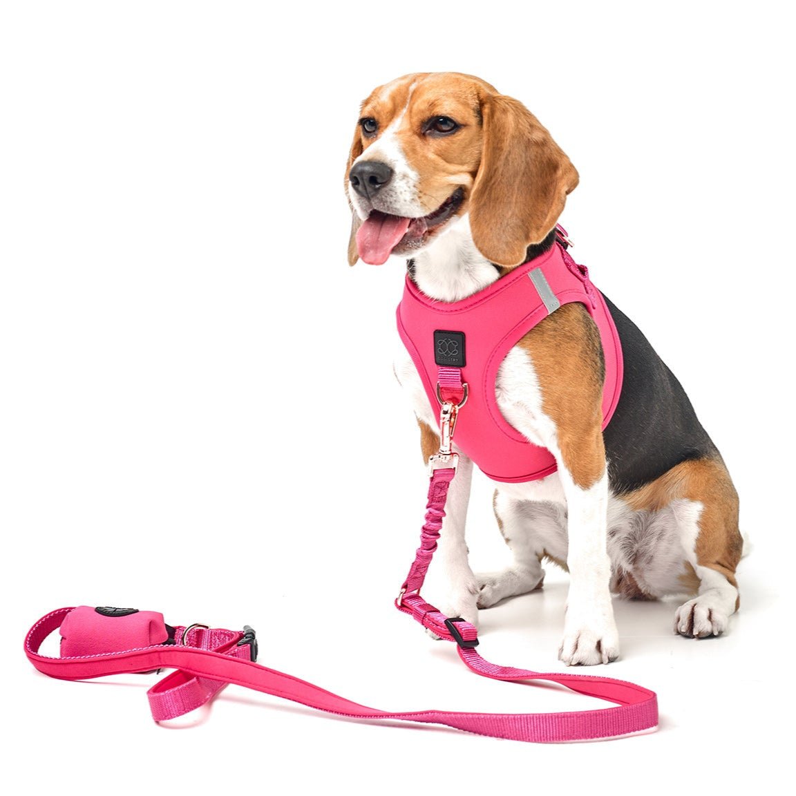 designer dog leashes and collars, designer dog collar and leash, pet accessories designer, fancy harness for dogs, luxury dog harness, fancy dog stuff, pet accessories designer, stylish dog leash