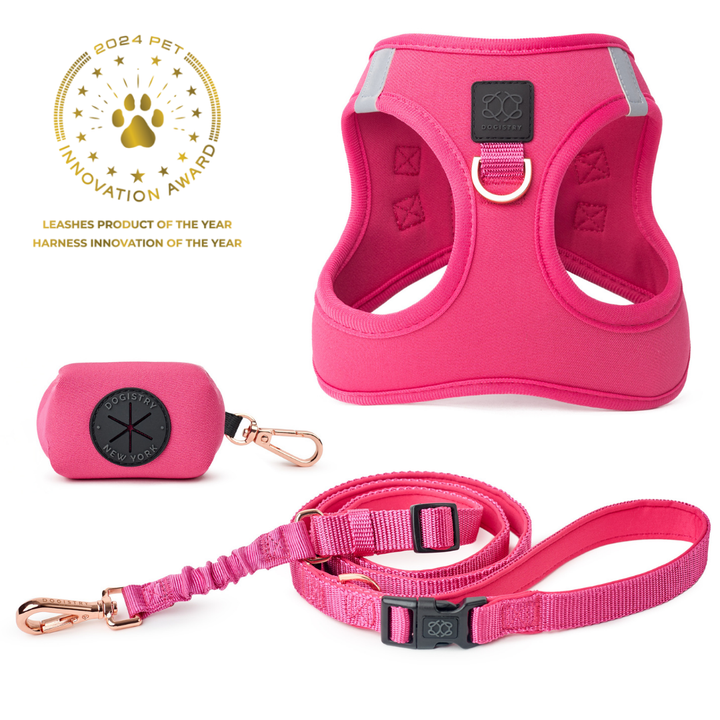designer dog leashes and collars, designer dog collar and leash, pet accessories designer, fancy harness for dogs, luxury dog harness, fancy dog stuff, pet accessories designer, stylish dog leash