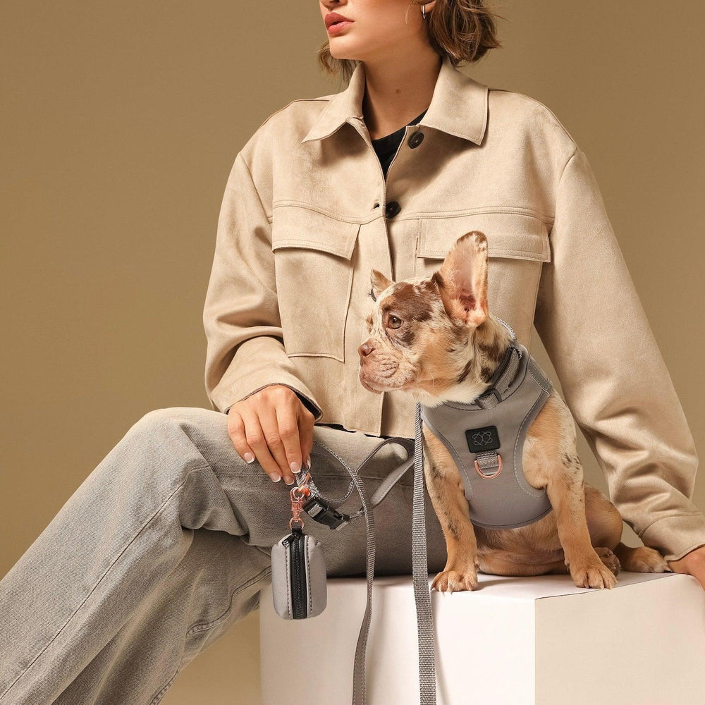Dogistry™