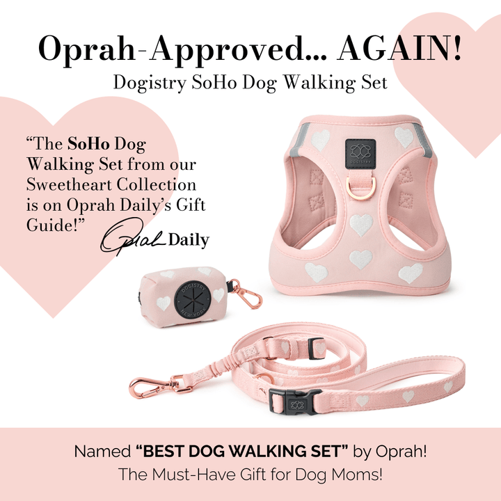 designer dog leashes and collars, designer dog collar and leash, pet accessories designer, fancy harness for dogs, luxury dog harness, fancy dog stuff, pet accessories designer, stylish dog leash