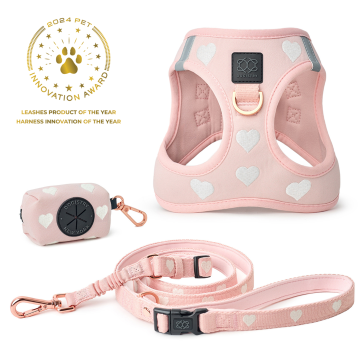 designer dog leashes and collars, designer dog collar and leash, pet accessories designer, fancy harness for dogs, luxury dog harness, fancy dog stuff, pet accessories designer, stylish dog leash