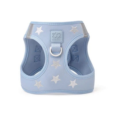 SoHo Complete Dog Walking Set - Rockstar Hudson