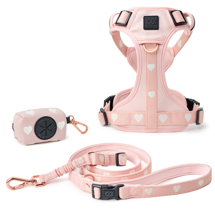 designer dog leashes and collars, designer dog collar and leash, pet accessories designer, fancy harness for dogs, luxury dog harness, fancy dog stuff, pet accessories designer, stylish dog leash