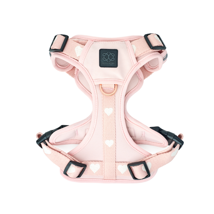 designer dog leashes and collars, designer dog collar and leash, pet accessories designer, fancy harness for dogs, luxury dog harness, fancy dog stuff, pet accessories designer, stylish dog leash
