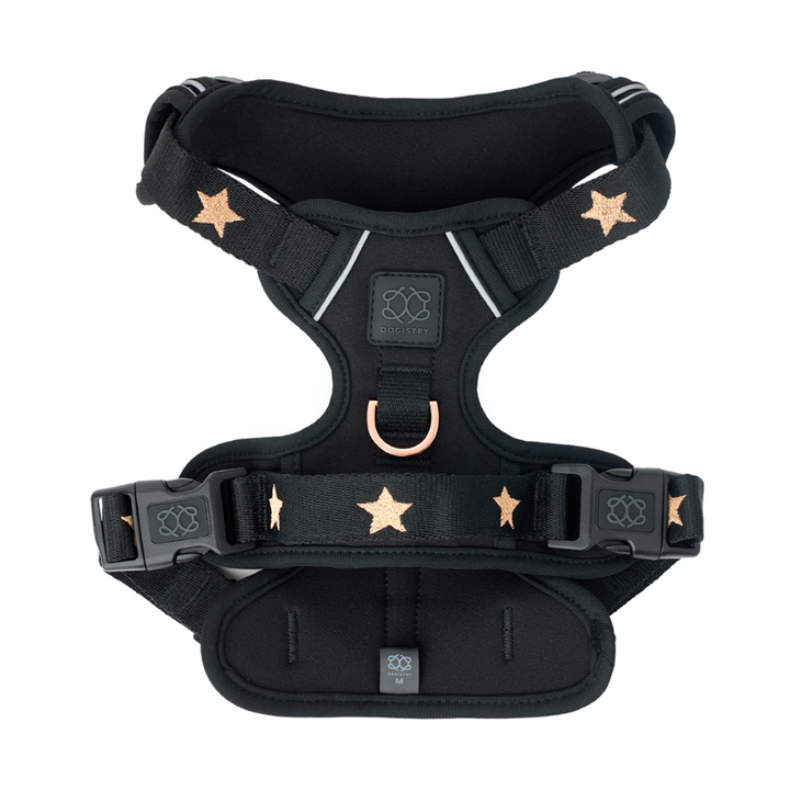 designer dog leashes and collars, designer dog collar and leash, pet accessories designer, fancy harness for dogs, luxury dog harness, fancy dog stuff, pet accessories designer, stylish dog leash