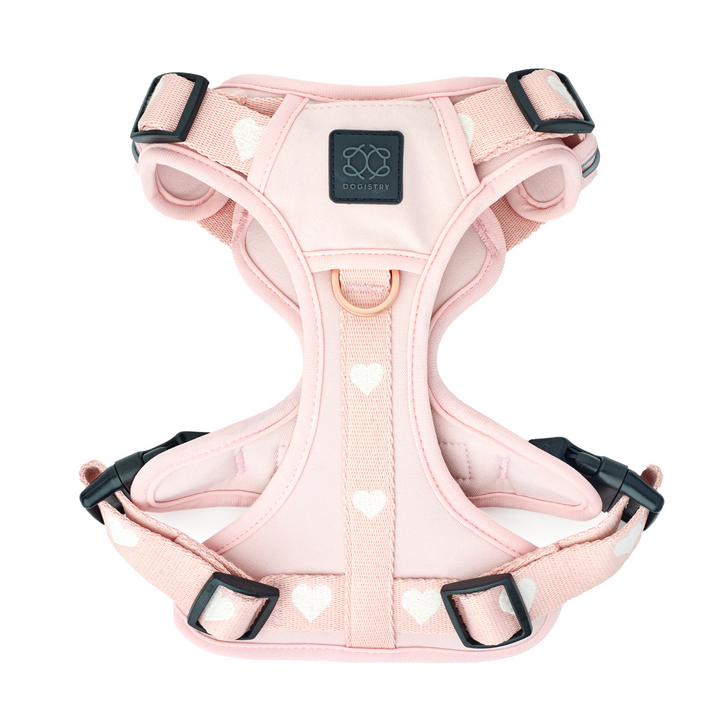 designer dog leashes and collars, designer dog collar and leash, pet accessories designer, fancy harness for dogs, luxury dog harness, fancy dog stuff, pet accessories designer, stylish dog leash