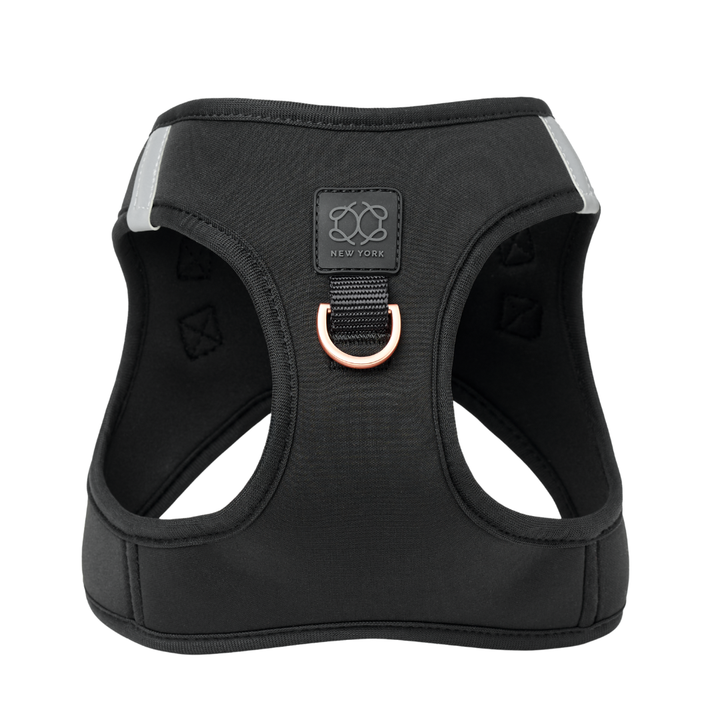 designer dog leashes and collars, designer dog collar and leash, pet accessories designer, fancy harness for dogs, luxury dog harness, fancy dog stuff, pet accessories designer, stylish dog leash