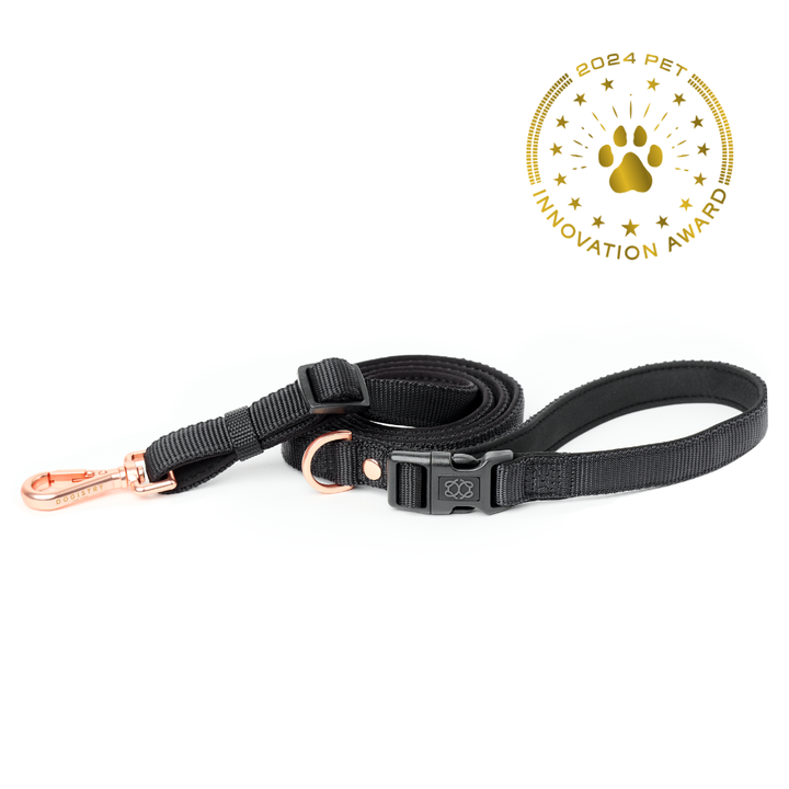 designer dog leashes and collars, designer dog collar and leash, pet accessories designer, fancy harness for dogs, luxury dog harness, fancy dog stuff, pet accessories designer, stylish dog leash