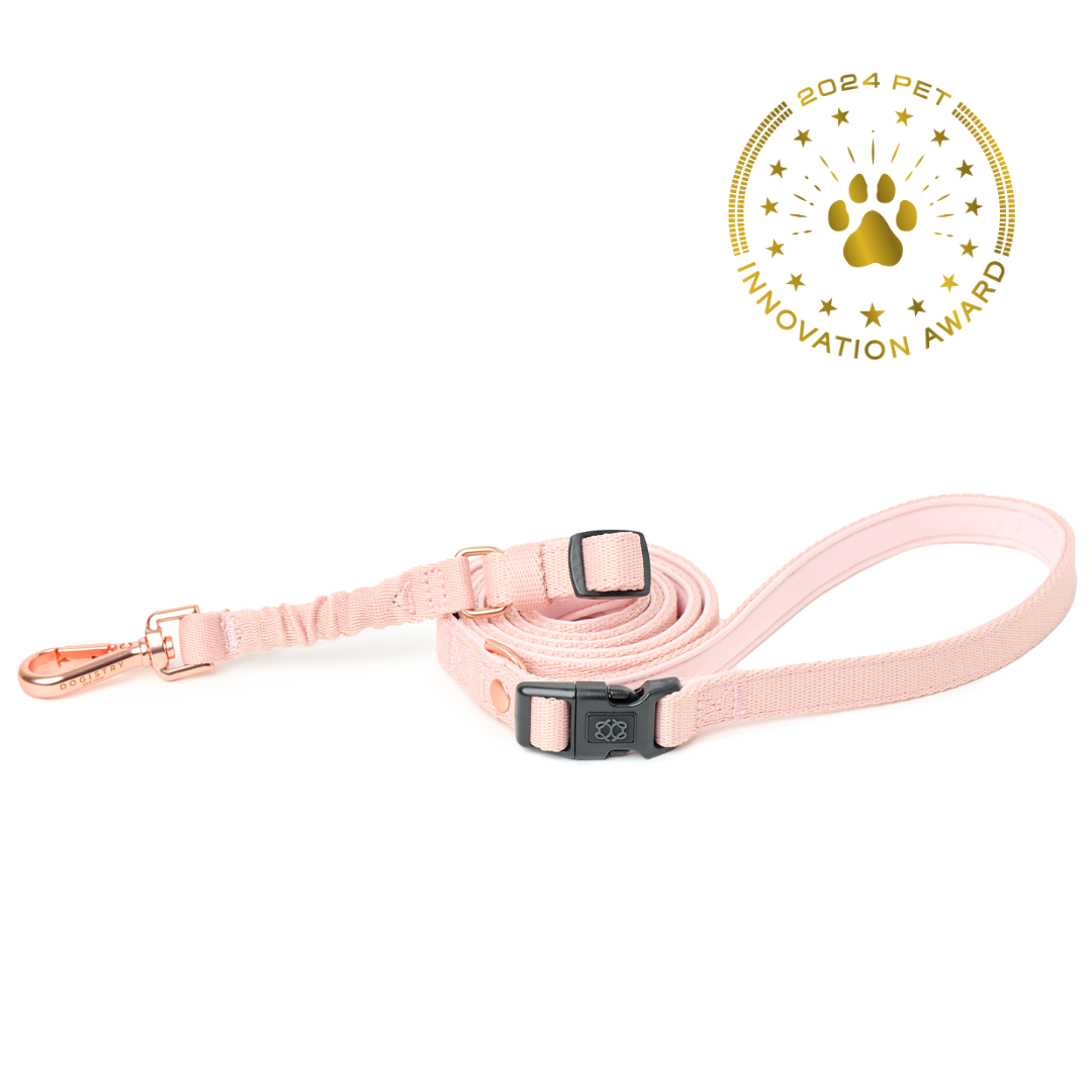 designer dog leashes and collars, designer dog collar and leash, pet accessories designer, fancy harness for dogs, luxury dog harness, fancy dog stuff, pet accessories designer, stylish dog leash