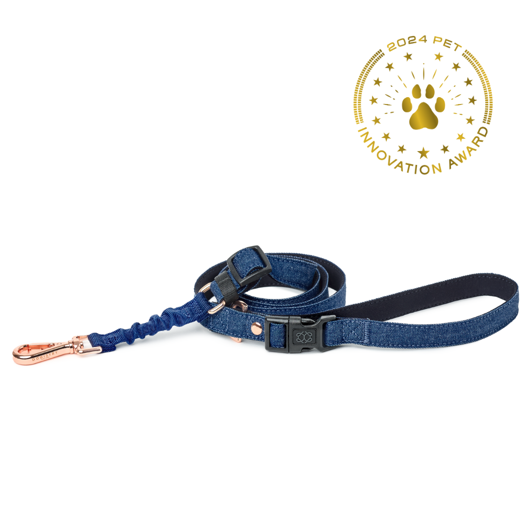 designer dog leashes and collars, designer dog collar and leash, pet accessories designer, fancy harness for dogs, luxury dog harness, fancy dog stuff, pet accessories designer, stylish dog leash