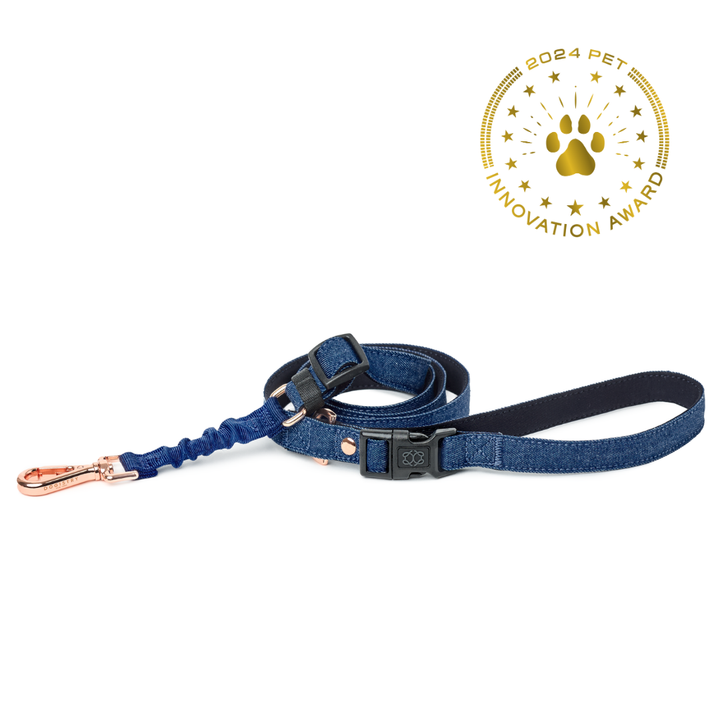 designer dog leashes and collars, designer dog collar and leash, pet accessories designer, fancy harness for dogs, luxury dog harness, fancy dog stuff, pet accessories designer, stylish dog leash