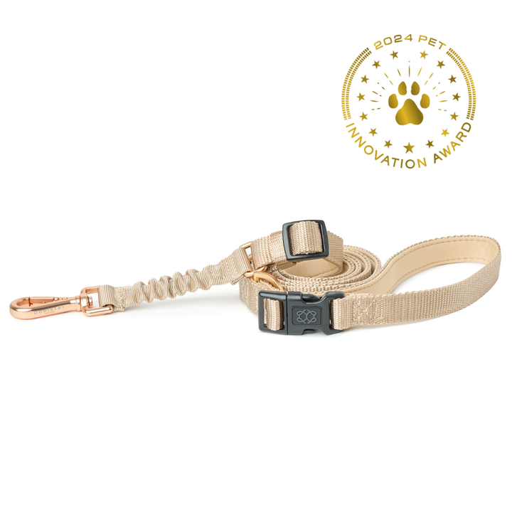 designer dog leashes and collars, designer dog collar and leash, pet accessories designer, fancy harness for dogs, luxury dog harness, fancy dog stuff, pet accessories designer, stylish dog leash