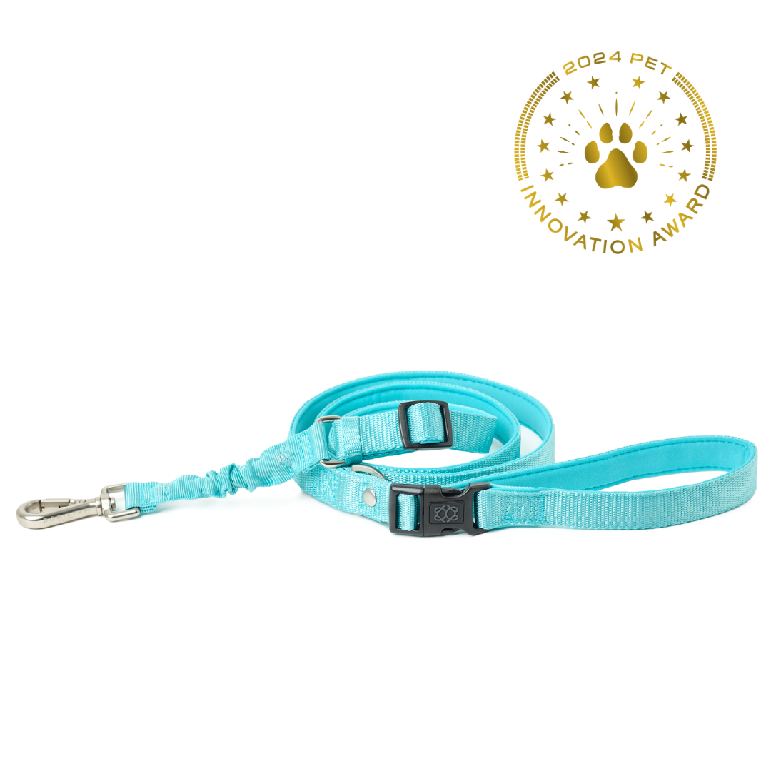 designer dog leashes and collars, designer dog collar and leash, pet accessories designer, fancy harness for dogs, luxury dog harness, fancy dog stuff, pet accessories designer, stylish dog leash