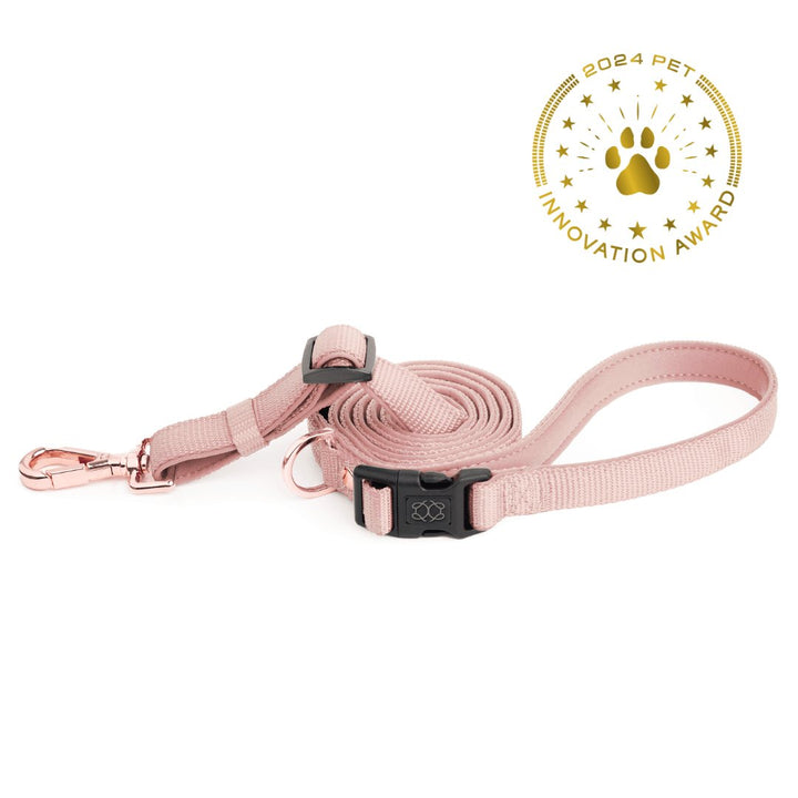 designer dog leashes and collars, designer dog collar and leash, pet accessories designer, fancy harness for dogs, luxury dog harness, fancy dog stuff, pet accessories designer, stylish dog leash