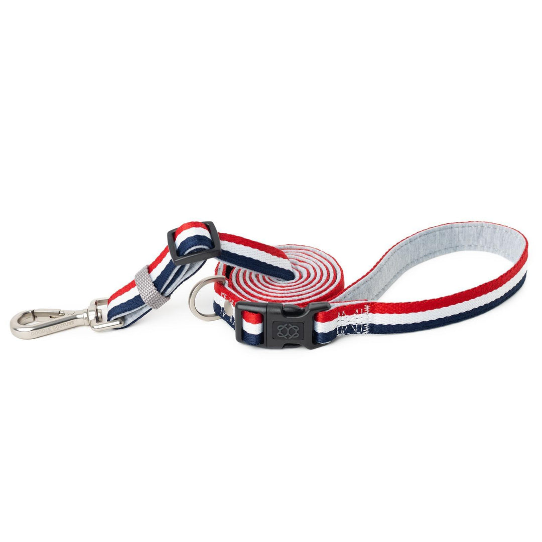 designer dog leashes and collars, designer dog collar and leash, pet accessories designer, fancy harness for dogs, luxury dog harness, fancy dog stuff, pet accessories designer, stylish dog leash