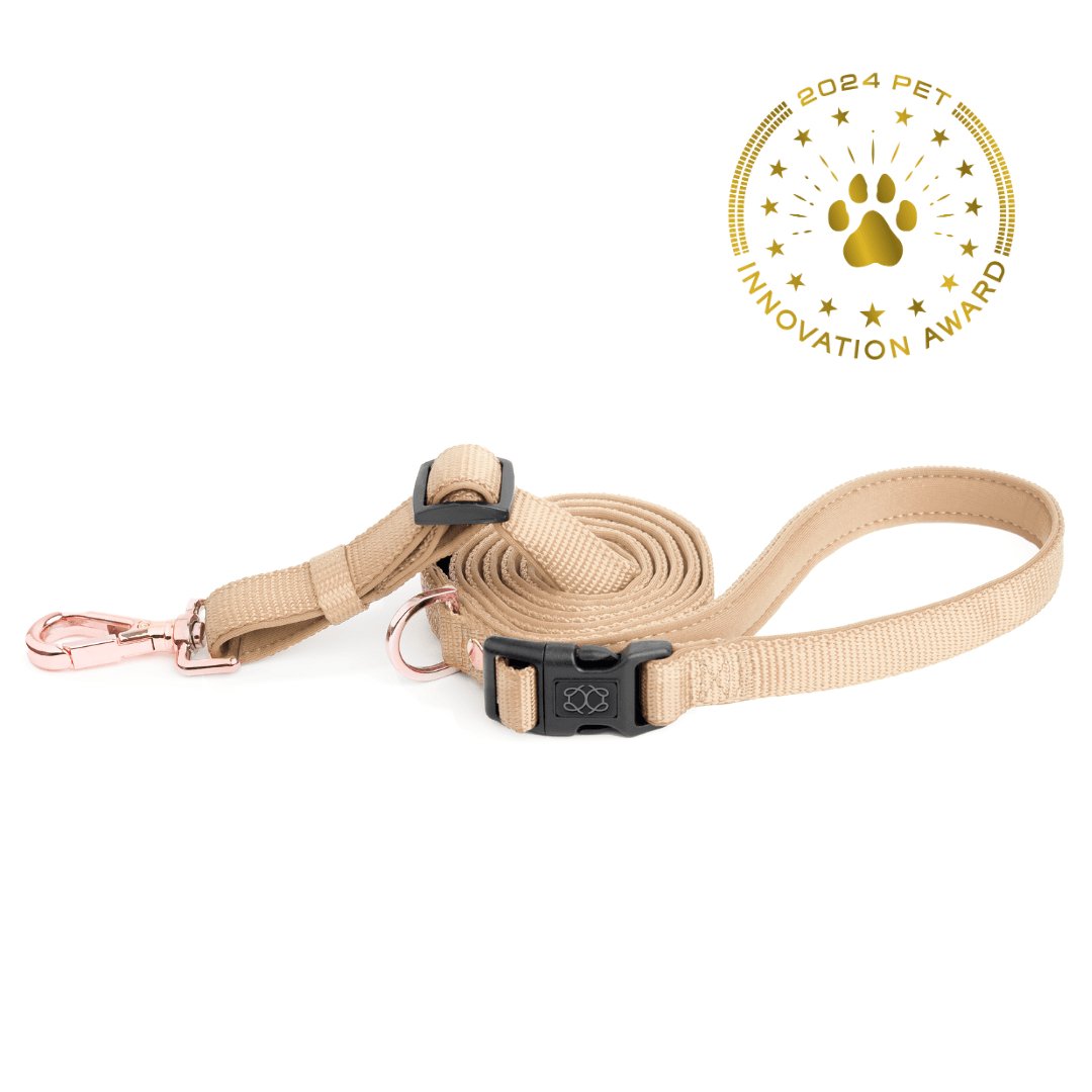 designer dog leashes and collars, designer dog collar and leash, pet accessories designer, fancy harness for dogs, luxury dog harness, fancy dog stuff, pet accessories designer, stylish dog leash