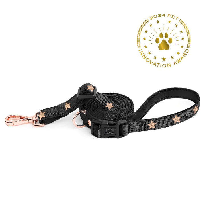 designer dog leashes and collars, designer dog collar and leash, pet accessories designer, fancy harness for dogs, luxury dog harness, fancy dog stuff, pet accessories designer, stylish dog leash